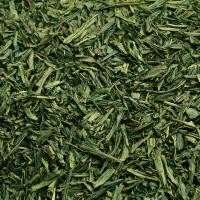 CHÁ VERDE - CAMELLIA SINENSIS IMPORTADO